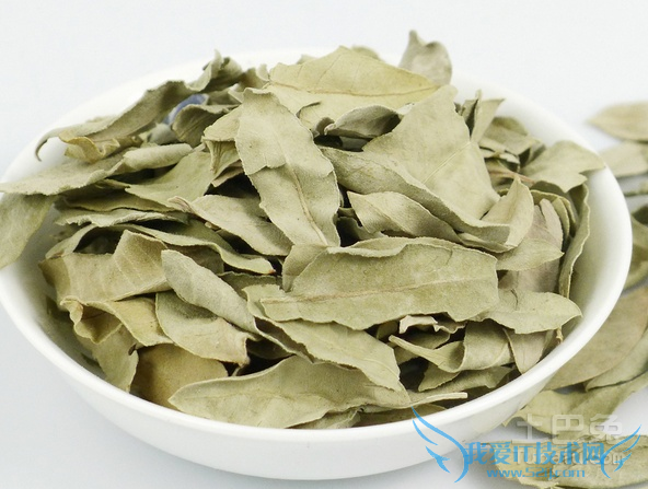 罗布麻叶的功效与作用