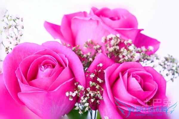 玫瑰花束的含义