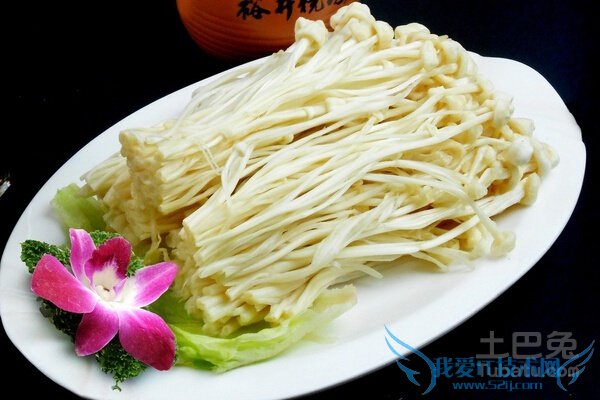 金针菇的营养价值 金针菇的营养价值