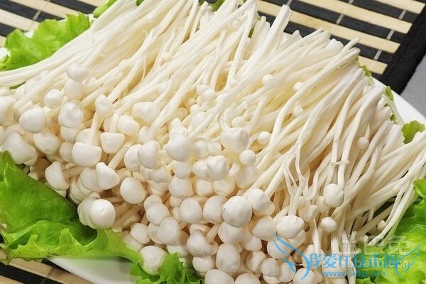 金针菇的营养价值 金针菇的营养价值