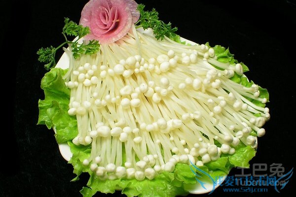 金针菇的营养价值 金针菇的营养价值