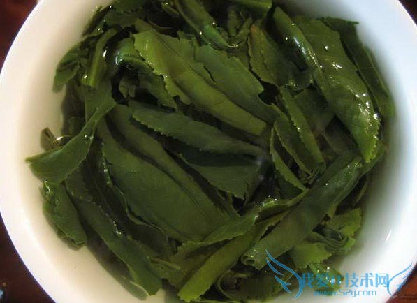 六安瓜片价格 六安瓜片价格