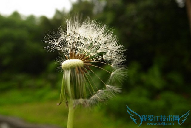 ѹӢˮȵĹЧ ѹӢˮȵķ