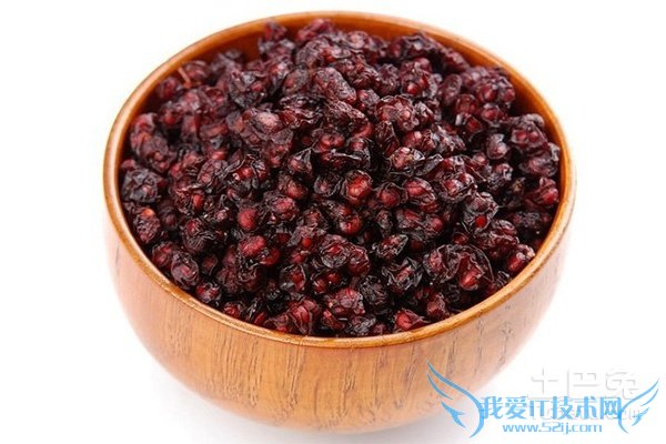 北五味子和南五味子 北五味子和南五味子