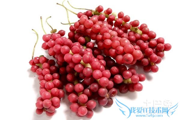 北五味子和南五味子 北五味子和南五味子