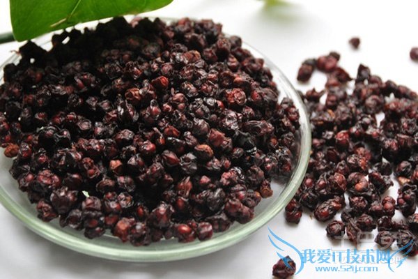 北五味子和南五味子 北五味子和南五味子