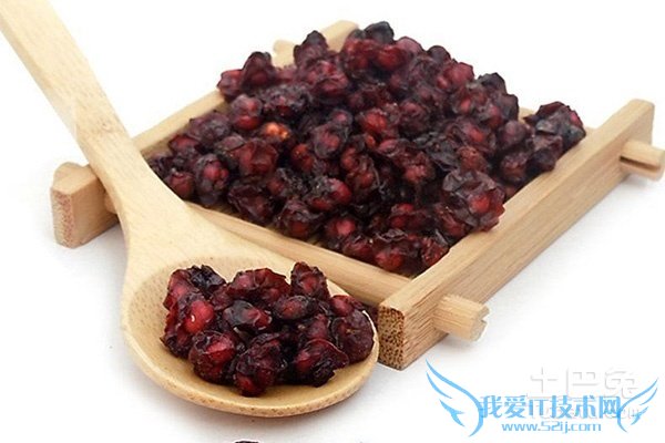 北五味子和南五味子 北五味子和南五味子