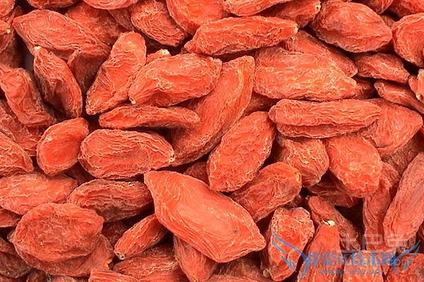 宁夏枸杞哪个牌子好