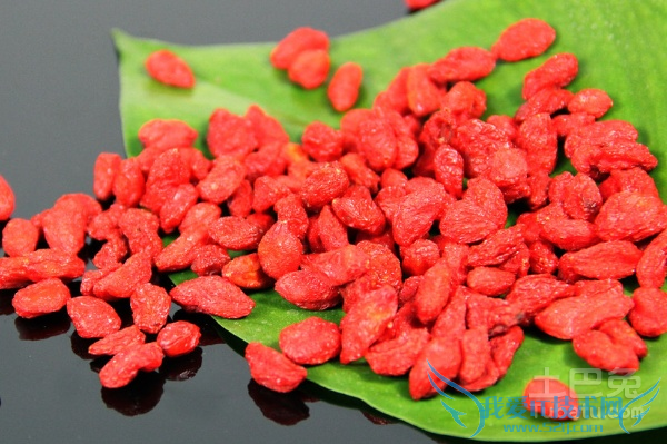 宁夏枸杞哪个牌子好