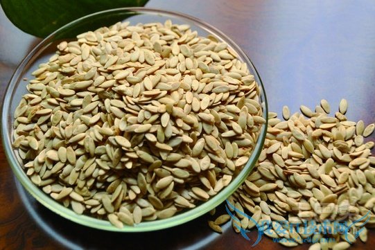 黄瓜籽的功效与作用