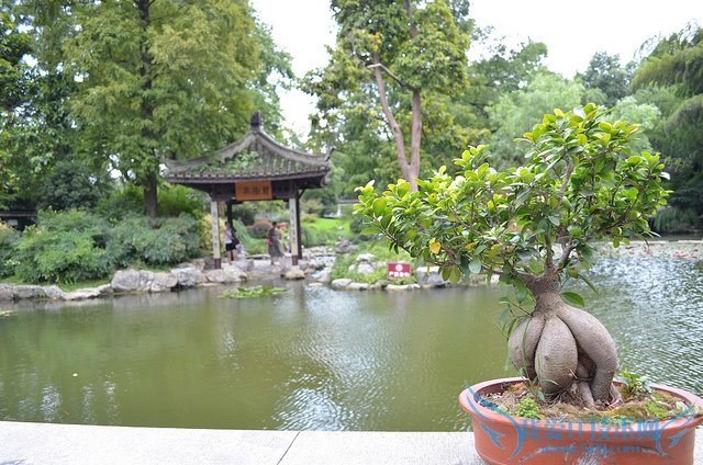 ҡǮͼƬȫ ҡǮͼƬͼϽ