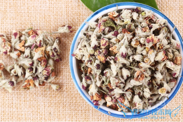 苹果花茶怎么泡 苹果花茶怎么泡