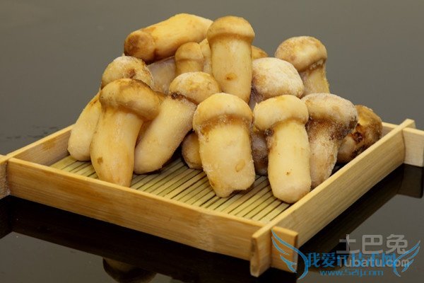 松茸的功效 松茸的功效