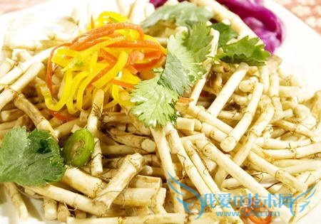 鱼腥草的功效与作用及禁忌