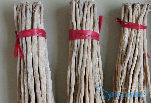 中药牛膝 中药牛膝