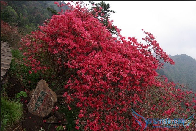 Ƕž黨 Ƕž黨ʲôʱ