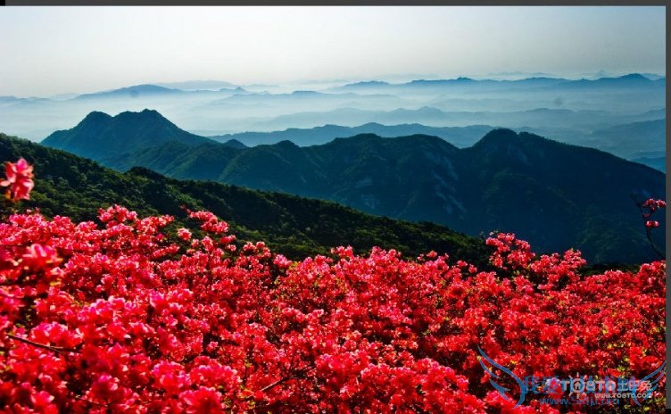 Ƕž黨 Ƕž黨ʲôʱ