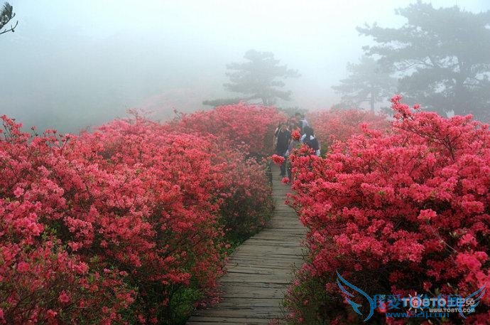 Ƕž黨 Ƕž黨ʲôʱ