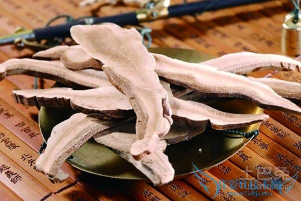 穿地龙的功效与作用 穿地龙的功效与作用