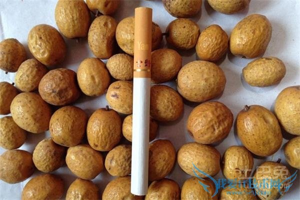 川楝子的功效与作用及食用方法 川楝子的功效与作用及食用方法