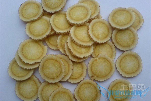 黄芪茶的功效与作用 黄芪茶的功效与作用