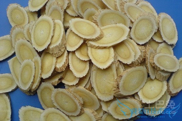 黄芪茶的功效与作用 黄芪茶的功效与作用