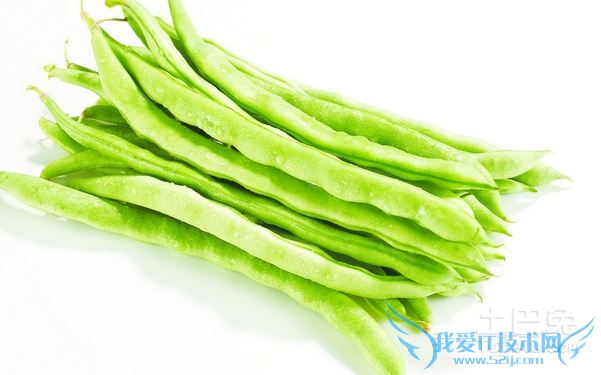 四季豆的营养价值 四季豆的营养价值