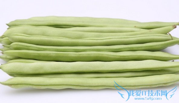 四季豆的营养价值 四季豆的营养价值