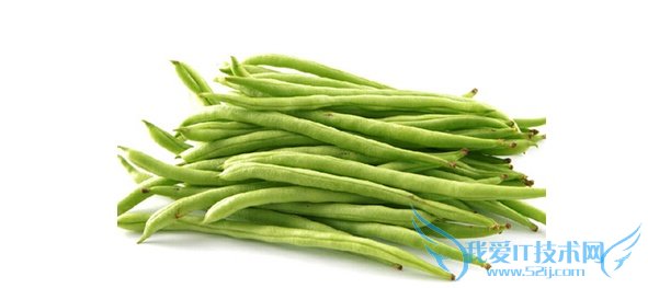 四季豆的营养价值 四季豆的营养价值