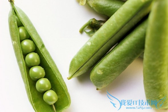 四季豆的营养价值 四季豆的营养价值