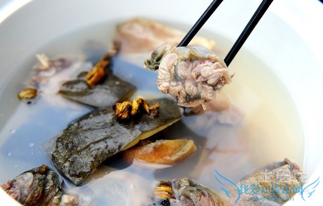 石斛花怎么吃 石斛花怎么吃