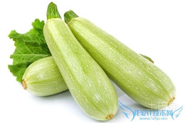 西葫芦的做法大全 西葫芦的做法大全