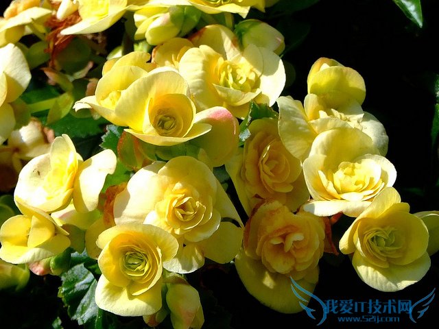 ﺣͼƬȫ ﺣͼƬͼƷֽ