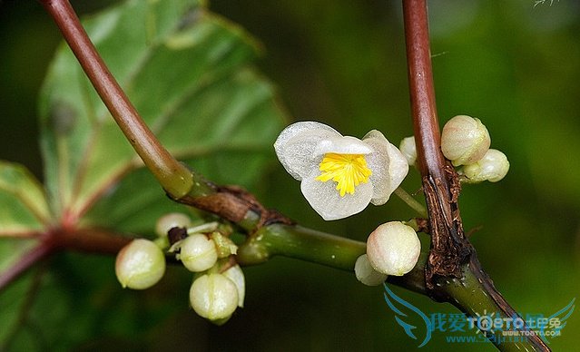 ﺣͼƬȫ ﺣͼƬͼƷֽ