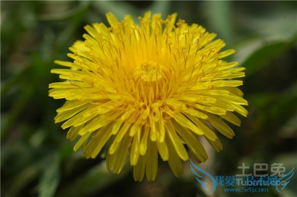 ÆÅÆÅ¶¡Í¼Æ¬ ÆÅÆÅ¶¡Í¼Æ¬