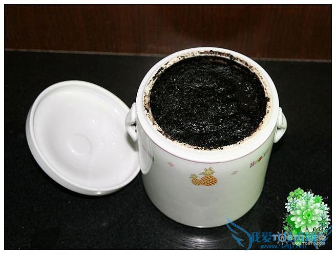 何首乌怎么吃治白发 何首乌怎么吃最好