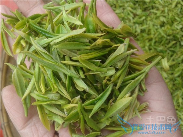 ÈÕÕÕÂ̲èÄĸöÅÆ×Ӻà ÈÕÕÕÂ̲èÄĸöÅÆ×ÓºÃ