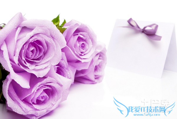 玫瑰数量 玫瑰数量