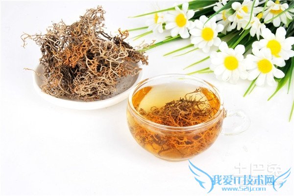 红雪茶的功效与作用 红雪茶的功效与作用