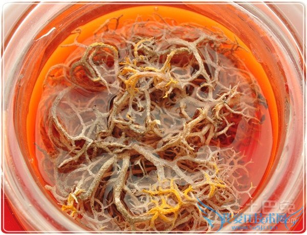 红雪茶的功效与作用 红雪茶的功效与作用