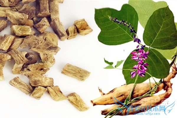 Ò°¸ð¸ùµÄ×÷ÓÃÓ빦Ч Ò°¸ð¸ùµÄ×÷ÓÃÓ빦Ч