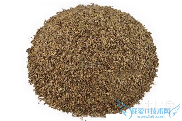 茺蔚子的功效与作用