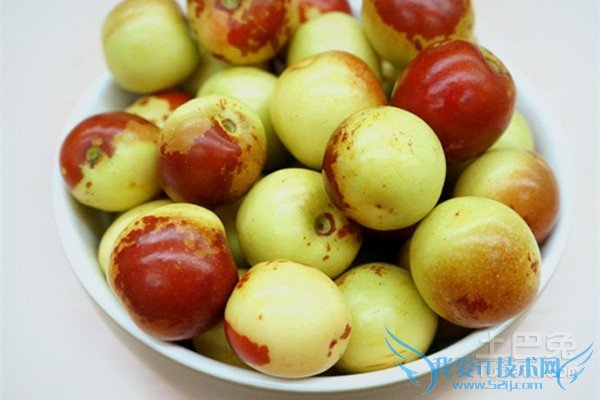 脆冬枣会上火吗