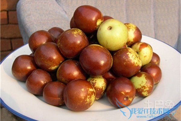 脆冬枣会上火吗