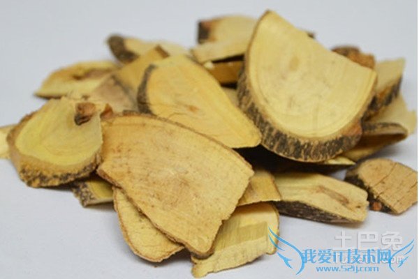 宽筋藤的功效与作用