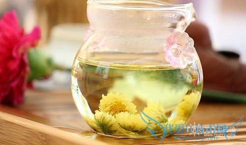 孕妇能喝菊花茶吗 菊花茶的功效与作用有哪些