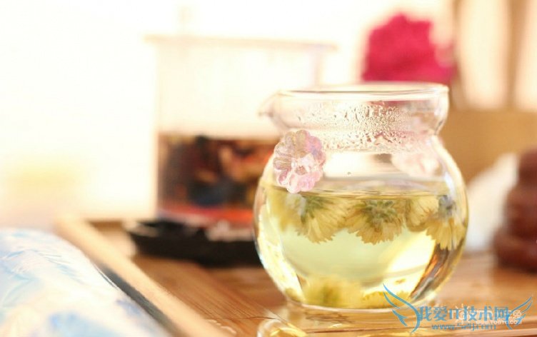 孕妇能喝菊花茶吗 菊花茶的功效与作用有哪些