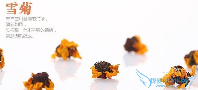 昆仑雪菊的功效与作用 昆仑雪菊的功效与作用