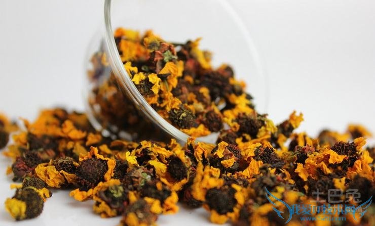 昆仑雪菊的功效与作用 昆仑雪菊的功效与作用