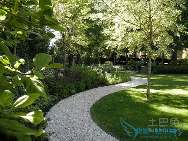 景观树价格 景观树价格